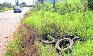 Alto Paraná en alerta ante eventual aparición de enfermedades transmitidas por el Aedes  - ABC en el Este - ABC Color