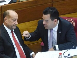 “Fuerza Republicana va a mantener su identidad y eso es lo más honesto”, dice Friedmann - Política - ABC Color