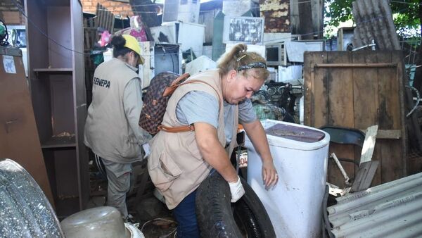 Casos de chikungunya: "El 90% de casas visitadas tienen criaderos"