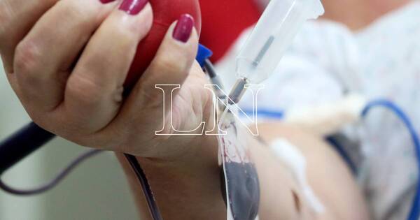 La Nación / Donar sangre, un acto solidario: dónde acudir los siete días de la semana