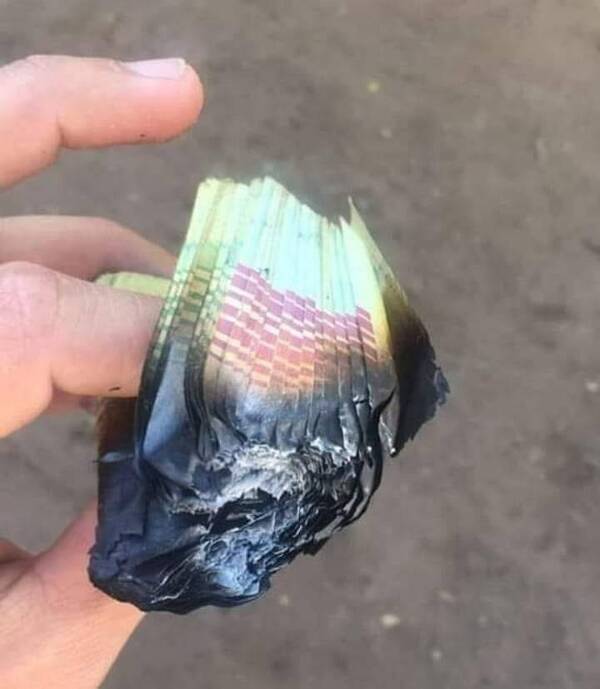 Imagen “fuerte”: en pleno enero puku encontró “tostaditos” los "cienmiltones"