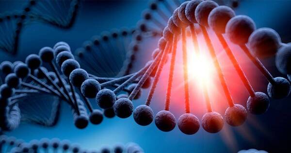 La Nación / La genética describe 10.000 años de evolución de inmunidad humana