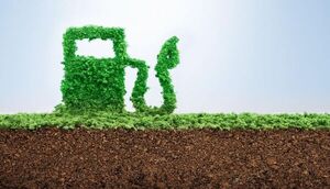 Set corrige distorsión en la industria de biocombustibles