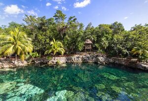 Tres experiencias únicas para disfrutar en las aguas de la Riviera Maya