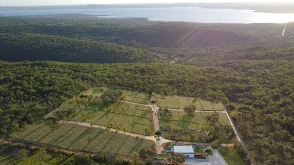 Un barrio cerrado ecológico nace en las alturas de Ciervo Cuá | Real Estate | 5Días
