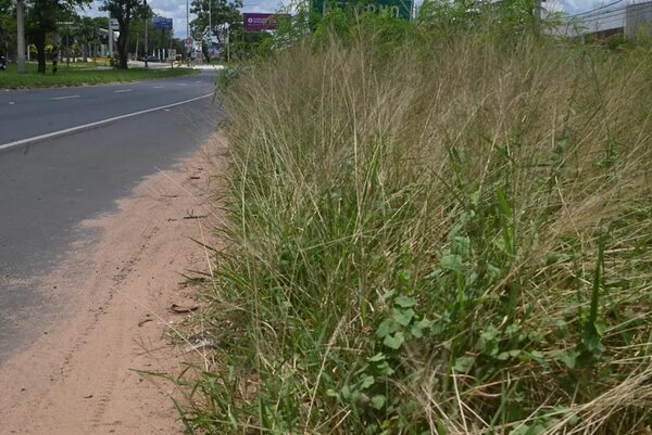 Ineficiencia municipal: yuyales y basura en autopista es el paisaje que recibe a turistas - Nacionales - ABC Color