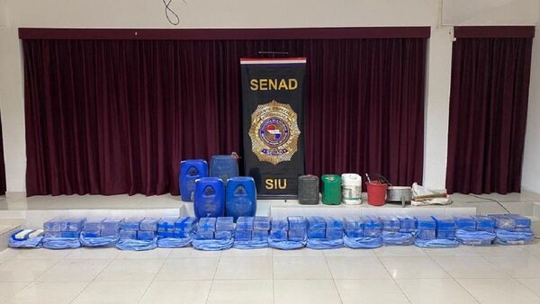 Carga de cocaína incautada en Misiones totaliza 420 kilos