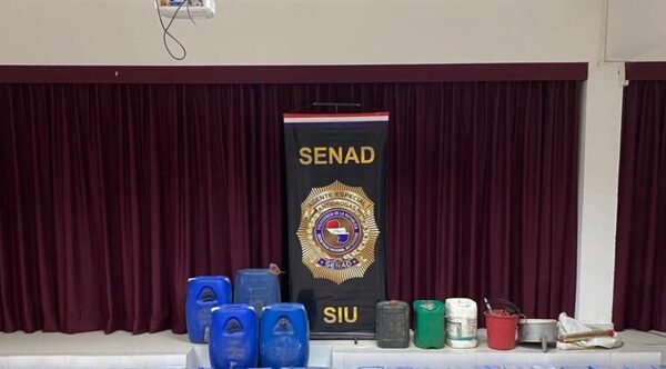 Retienen aeronave con 420 kilos de cocaína en Misiones