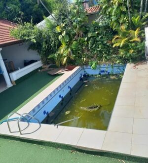 Intervienen otra casa con piscina abandonada en Asunción: suman nueve en apenas 15 días - Nacionales - ABC Color