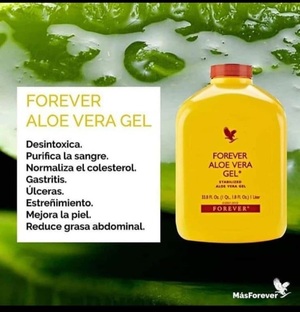 ALOE VERA, PROPIEDADES Y BENEFICIOS - La Voz del Norte