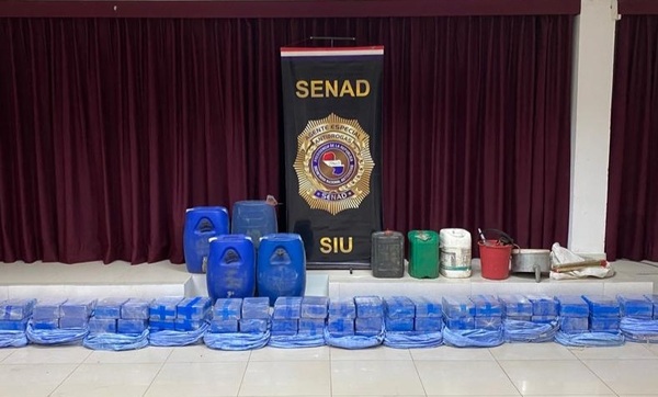 Pista clandestina en Misiones contenía una carga de 420 kilos de cocaína