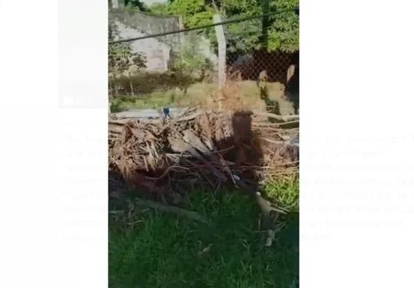 Exigen que Municipalidad retire basura de baldío en zona del Materno de Trinidad - Crónicas Ciudadanas - ABC Color