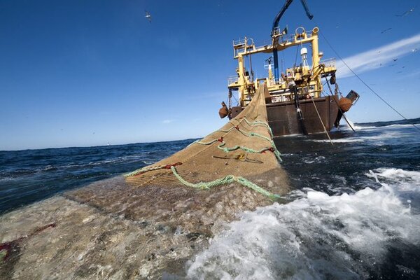 Denuncian que barcos chinos pescaron ilegalmente en aguas argentinas durante más de 600 mil horas