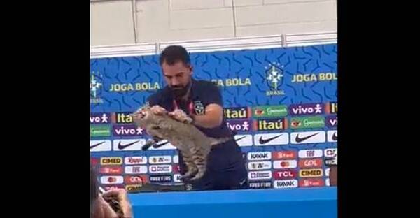 [VIDEO] Karma: Rajaron al que maltrató al gato y le dio "yeta" a la sele rapai