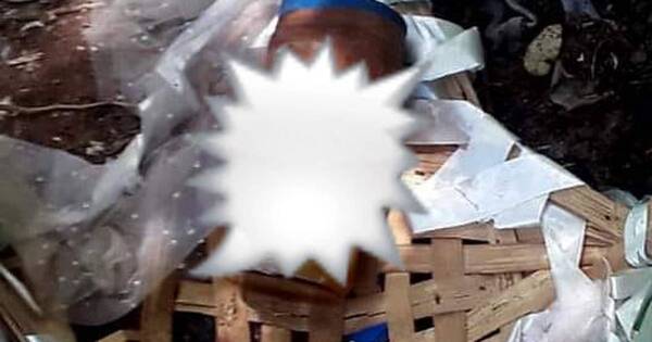 La Nación / Hallan feto humano en el vertedero municipal de Coronel Bogado