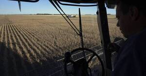 La Nación / Argentina pierde la mitad de la cosecha de soja por sequía
