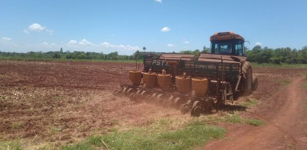 Más de 4.000 turistas visitaron ITAIPU el fin de semana pasado – Diario TNPRESS