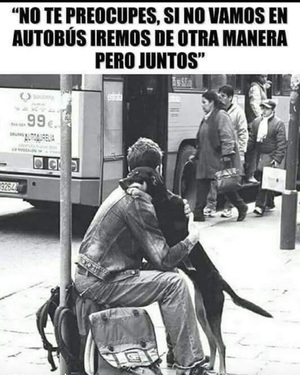 BUSCAN CONCIENCIAR SOBRE EL MALTRATO ANIMAL EN MEDIO DE MUCHAS INCONGRUENCIAS - La Voz del Norte
