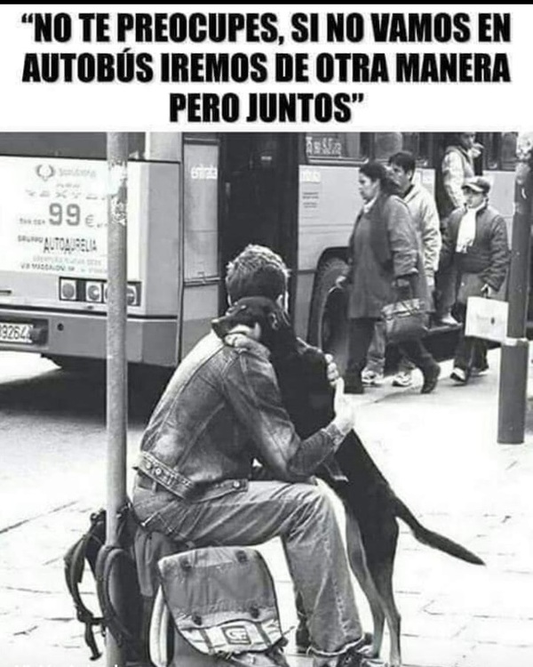 BUSCAN CONCIENCIAR SOBRE EL MALTRATO ANIMAL EN MEDIO DE MUCHAS INCONGRUENCIAS - La Voz del Norte