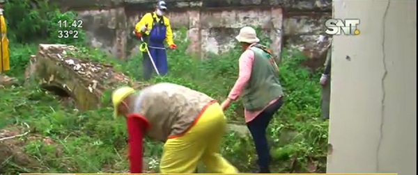 Alerta Sanitaria: La chikungunya avanza - SNT