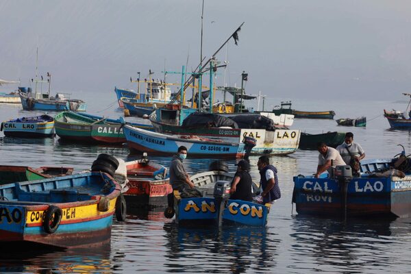 La exportación agropecuaria de Perú creció un 8,2 % de enero a noviembre de 2022 - MarketData