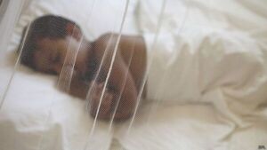 Piden usar mosquiteros para protegerse de dengue y chikungunya