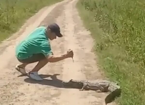 Video: Mades busca identificar al hombre que atacó con cuchillo a un yacaré - Policiales - ABC Color