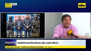 Investigación fiscal del caso Pecci - ABC Noticias - ABC Color