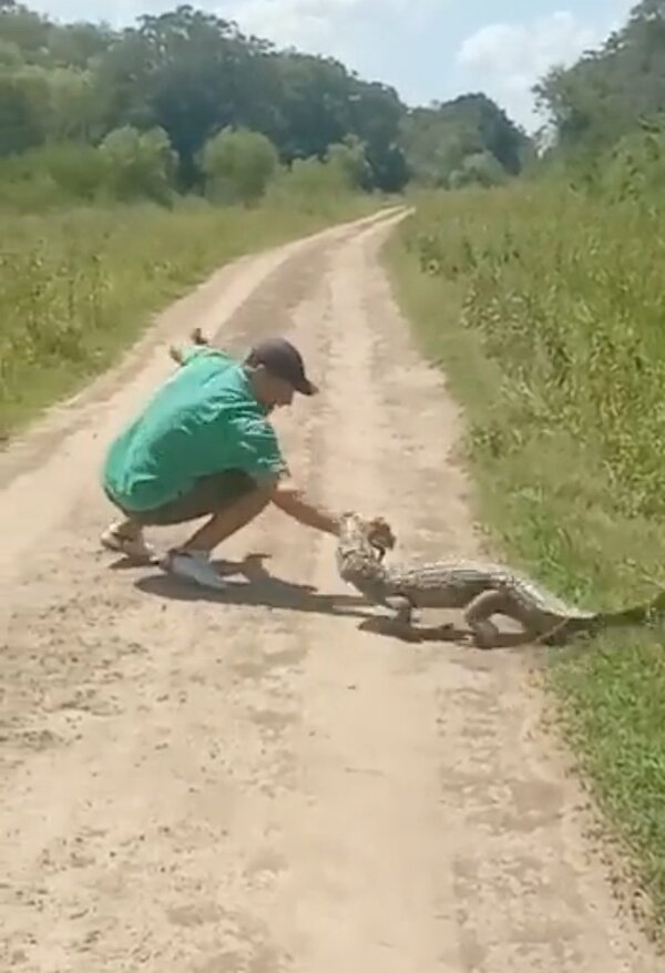 Ministerio del Ambiente busca identificar a hombre que atacó a un jakaré | 1000 Noticias