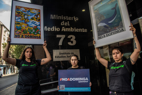 ONG recuerdan a Boric la amenaza medioambiental que supone la minera Dominga - MarketData
