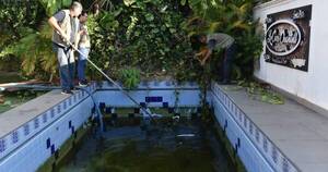 La Nación / Intervinieron inmueble con piscina en deplorables condiciones y encontraron que era criadero de mosquitos