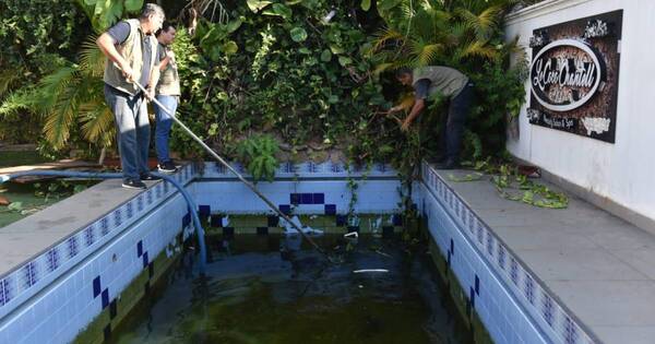 La Nación / Intervinieron inmueble con piscina en deplorables condiciones y encontraron que era criadero de mosquitos
