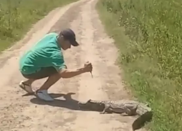 (VIDEO) Mades busca al tavyron que pisó y atacó con un cuchillo a un jakare’i