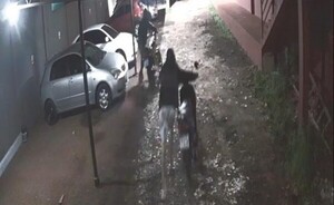 Hurtan dos motocicletas en menos de dos minutos