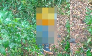 Matan a un indígena en una reserva forestal en Itakyry