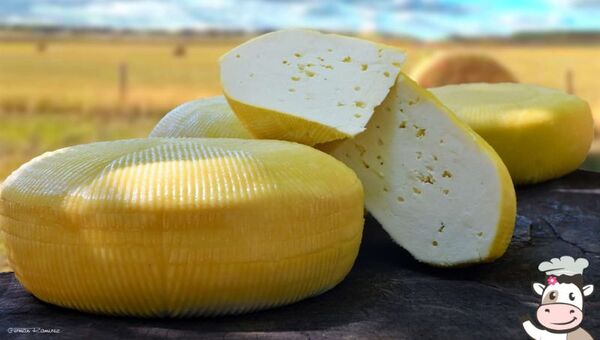 Granja San Isidro cautiva con su variedad de quesos gourmet saborizados (ajo con albahaca, picante y con orégano, los más pedidos)