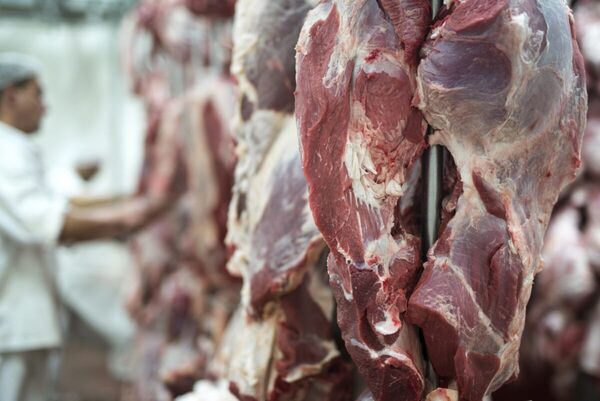 Paraguay creció más en exportación de carne que Argentina y Uruguay, en la última década