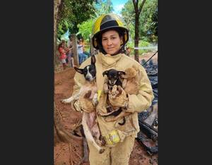 Valientes bomberos salvan a cuatro perros de voraz incendio en una vivienda