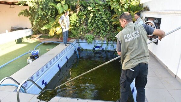 Asunción: Intervienen otra vivienda con piscina llena de agua sucia