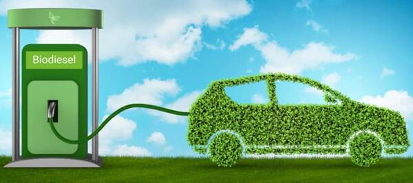 Biocap celebra incorporación de aceites vegetales para producir biocombustibles