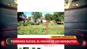 Terrenos baldíos y basurales - C9N