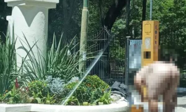 Tavyrai peló cuero para bañarse en la Plaza Uruguaya