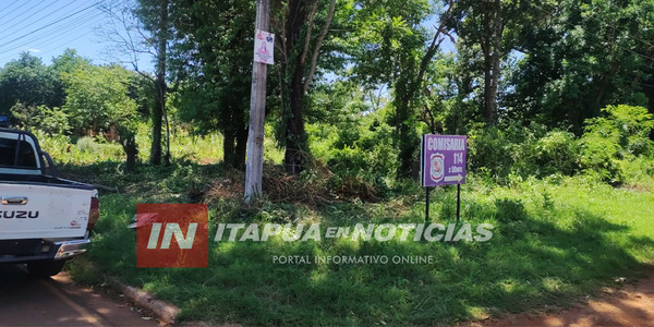 ENJAMBRE DE ABEJAS ATACÓ A DOS PERSONAS - Itapúa Noticias