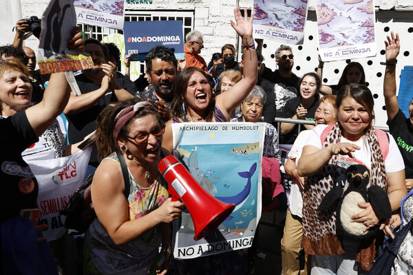Ambientalistas celebran rechazo a mina en Chile, pero piden mayor protección - MarketData