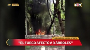 ¡Cuidado! Pirómano suelto - C9N