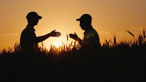 Se pronostican mayores utilidades para las compañías de seguro, tras mejor panorama de producción agrícola - MarketData