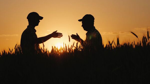 Se pronostican mayores utilidades para las compañías de seguro, tras mejor panorama de producción agrícola - MarketData