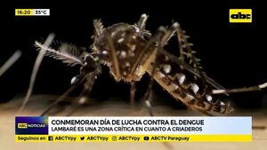 Conmemoran día de lucha contra el dengue - ABC Noticias - ABC Color