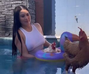 ¡Otro level! Gallinas de Laurys Diva piletearon de lo lindo