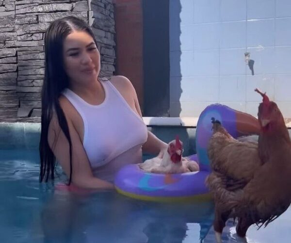 ¡Otro level! Gallinas de Laurys Diva piletearon de lo lindo